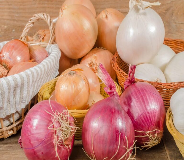 AP To Sell Onions At Minimal Prices Today