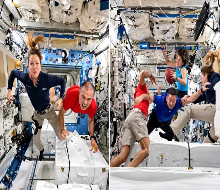 Astronaut Anil Menon