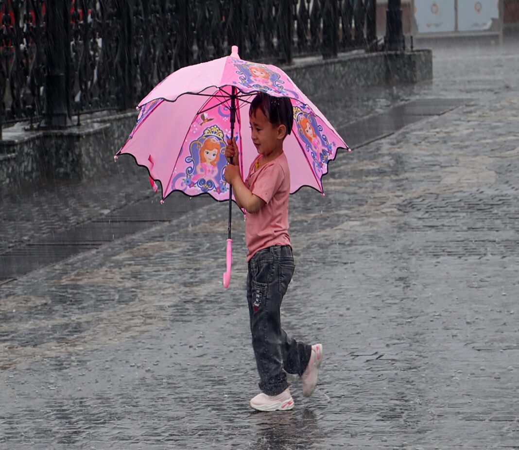 IMD Forecasts Rain Alert