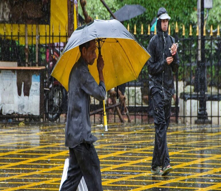 Maharashtra Rain