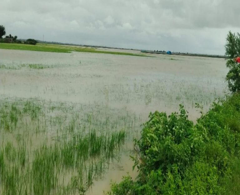 Nagavali Floods