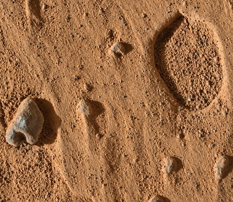 NASA Mars