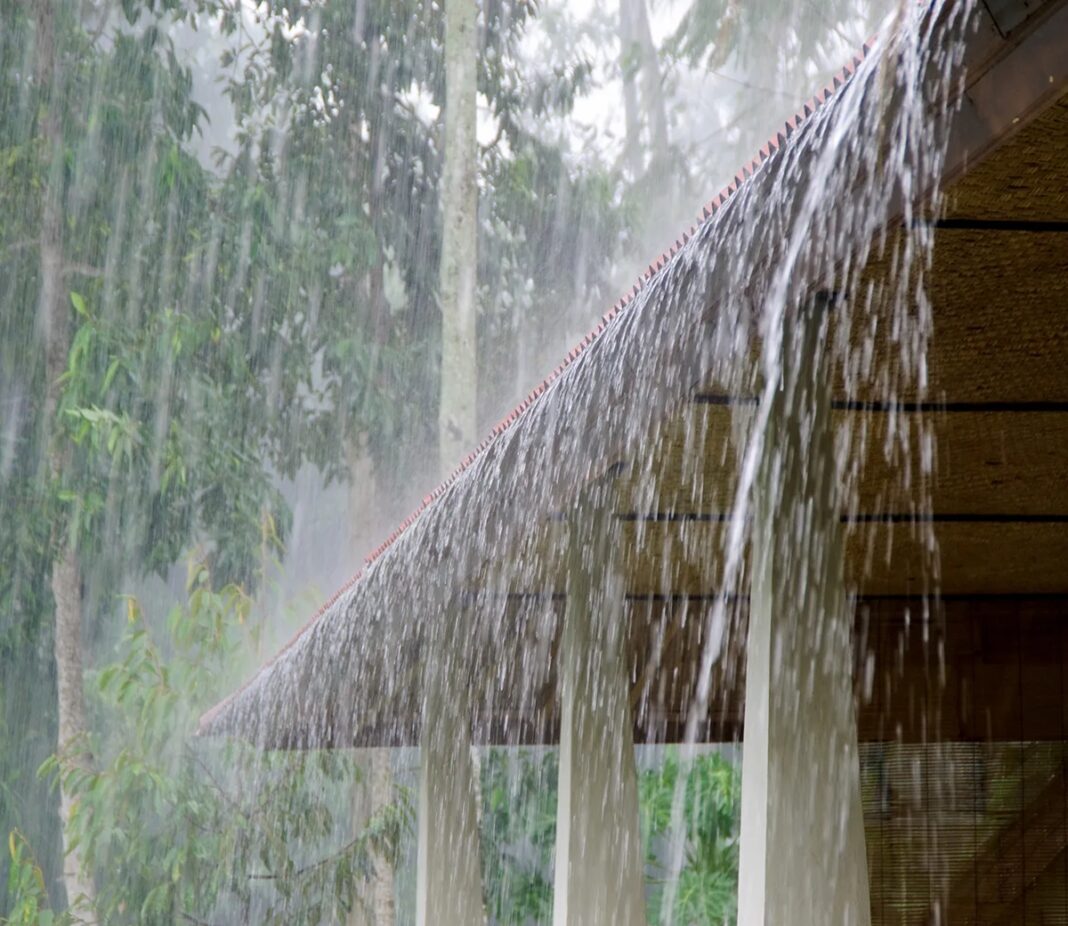 Rain