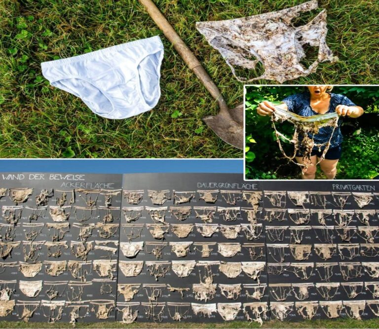 Scientists Asked To Bury Underwear