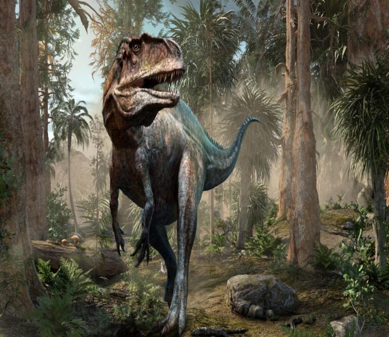 Scientists Find T Rex Trackway