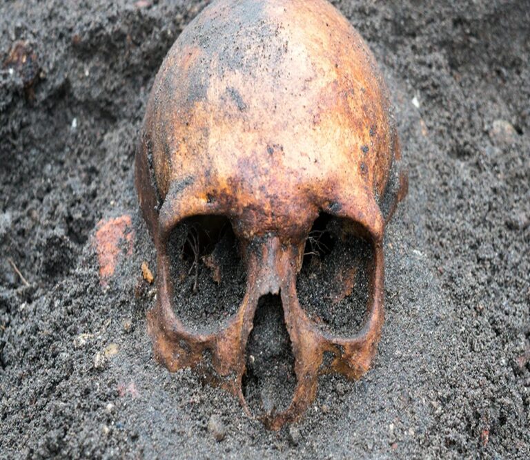 Scientists Simulate 1,000 Years Of Civilisation