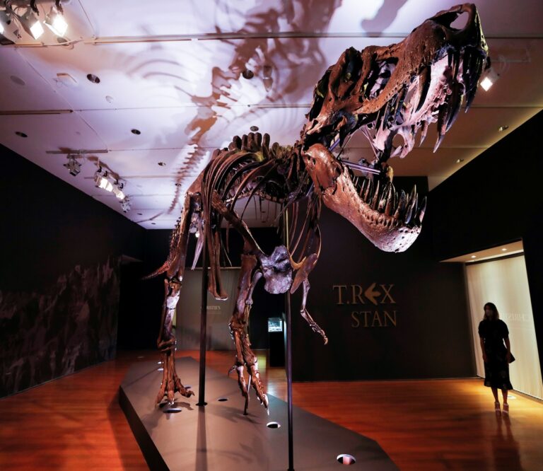 Scientists Unlock T. Rex Temperature