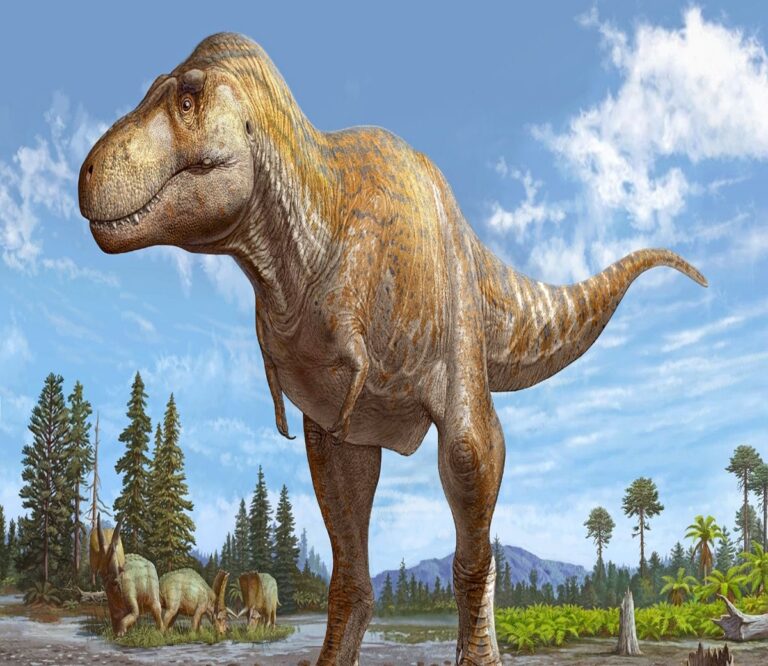 T Rex